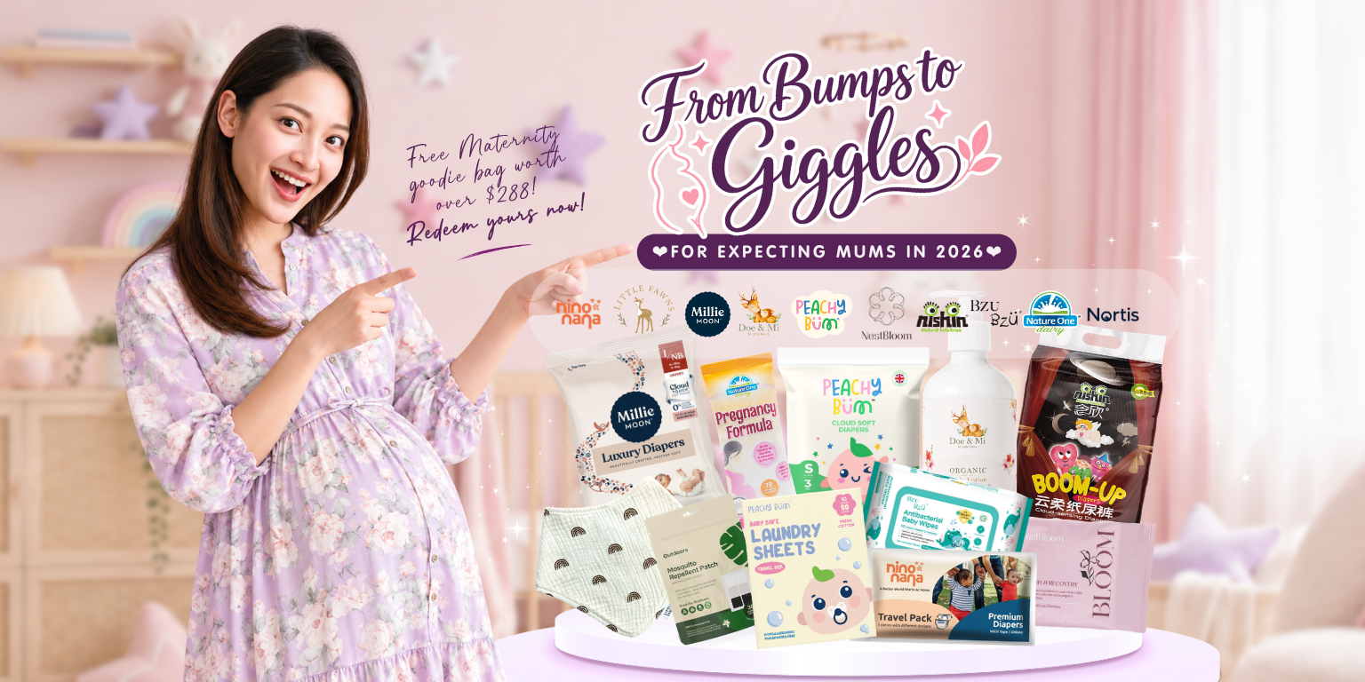 The From Bumps to Giggles maternity goodie bag